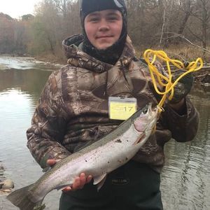 Meet your Posher, Logan